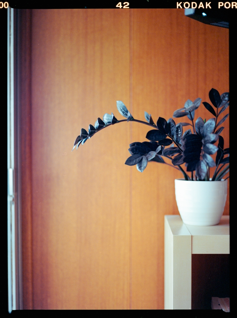 December 2021 (2) - Image 5