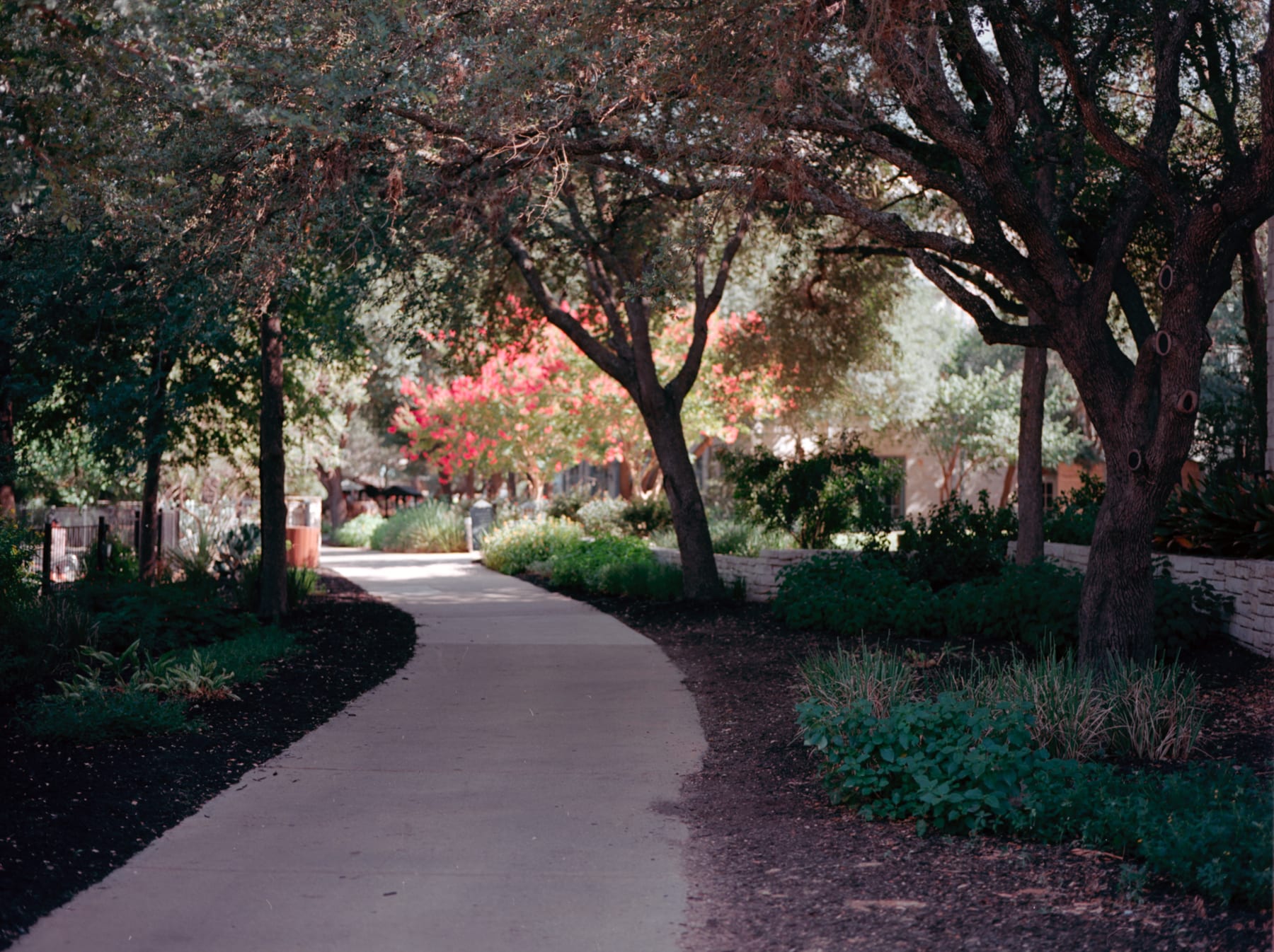 June 2022 - Image 7